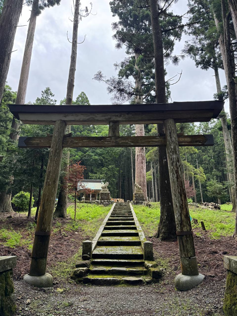 「八十八祭り」in 花背 on 7月22日