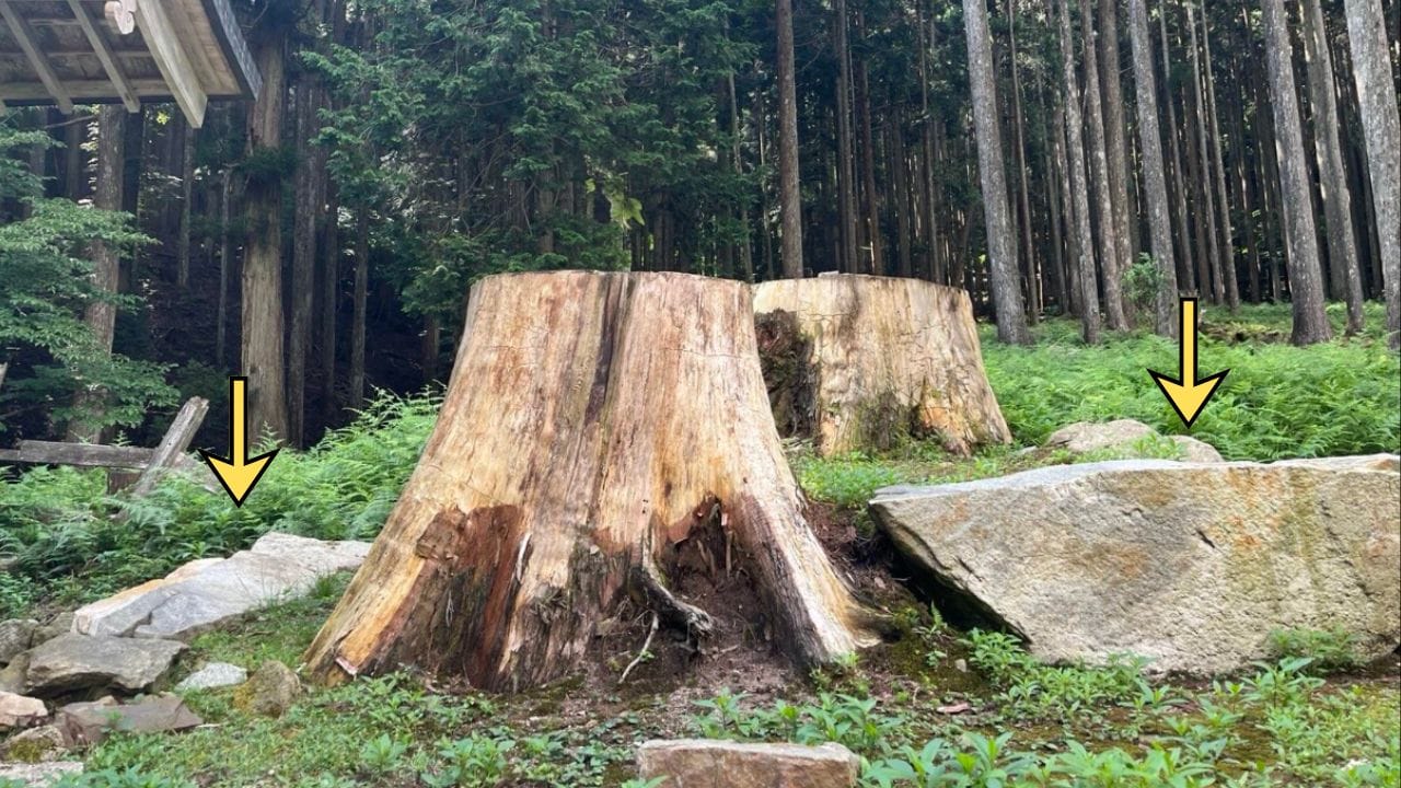 「穂積氏」と「三種の神器」