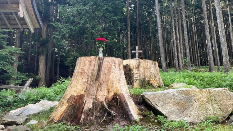 『 薔薇と十字架』八十八祭の御神体の公開